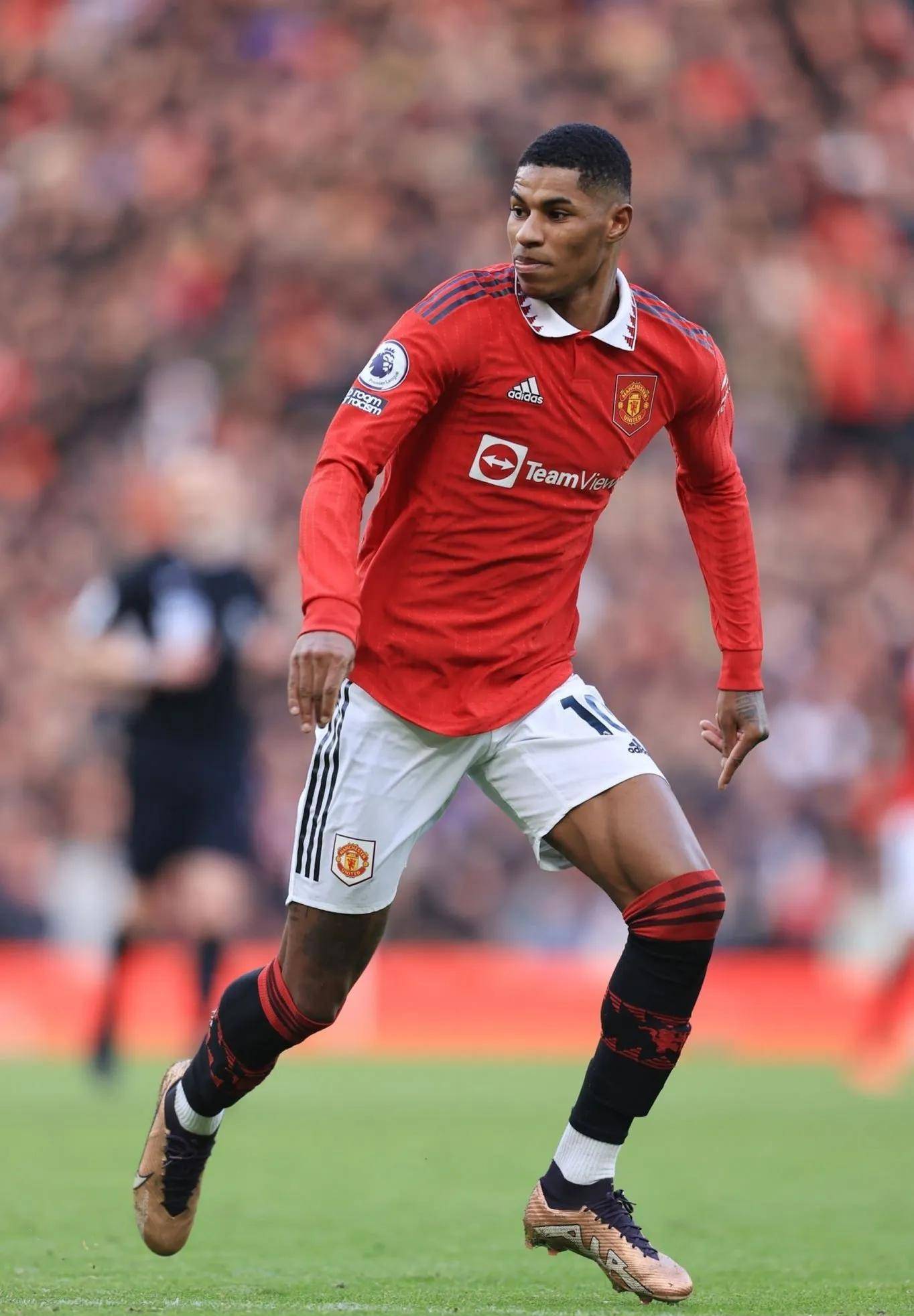 己的技术和 己的技术和