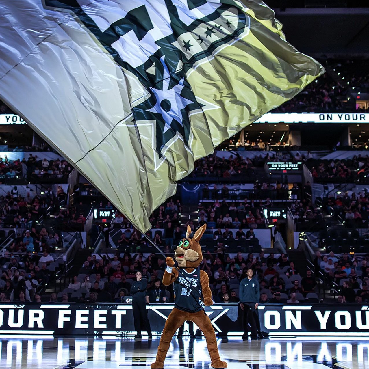 无数类似的 无数类似的